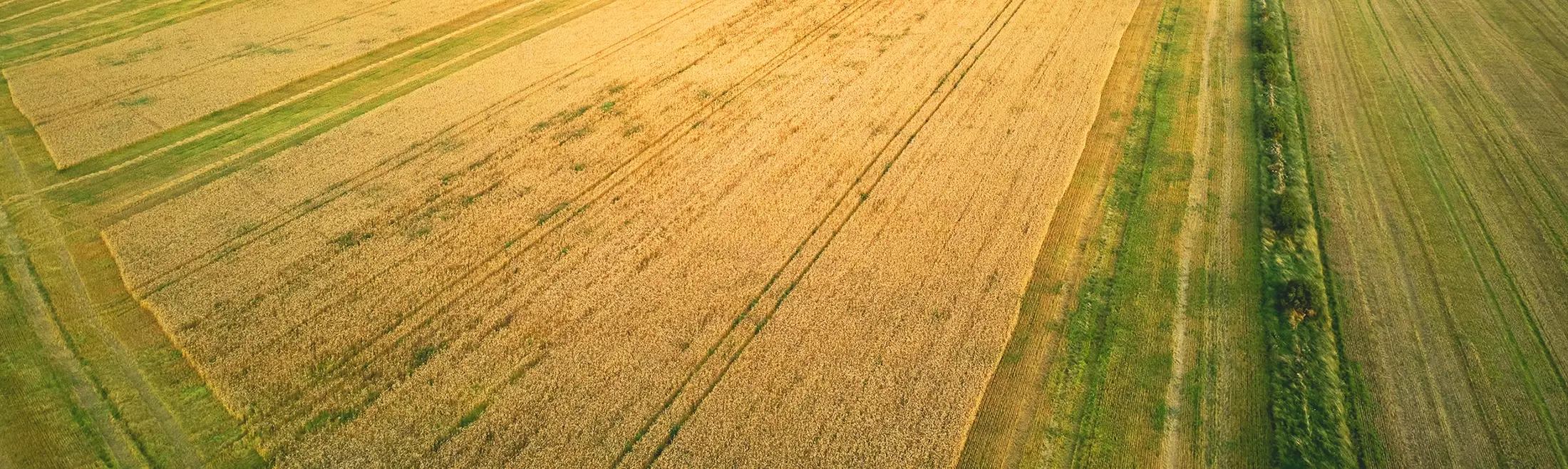 Купити земельний пай, вигідні інвестиції